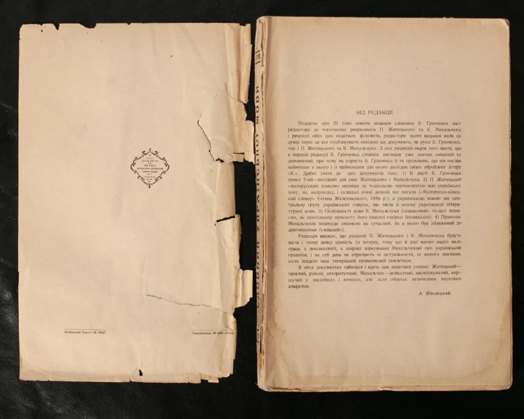 hrinchenkiv-slovnyk-pravopys-hrinchenkivka-iak-fundament-ukrainskoi-orfohrafii-cb95