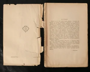 hrinchenkiv-slovnyk-pravopys-hrinchenkivka-iak-fundament-ukrainskoi-orfohrafii-cb95