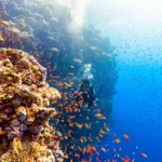Кольорові моря: Чорне, Біле, Жовте і Червоне