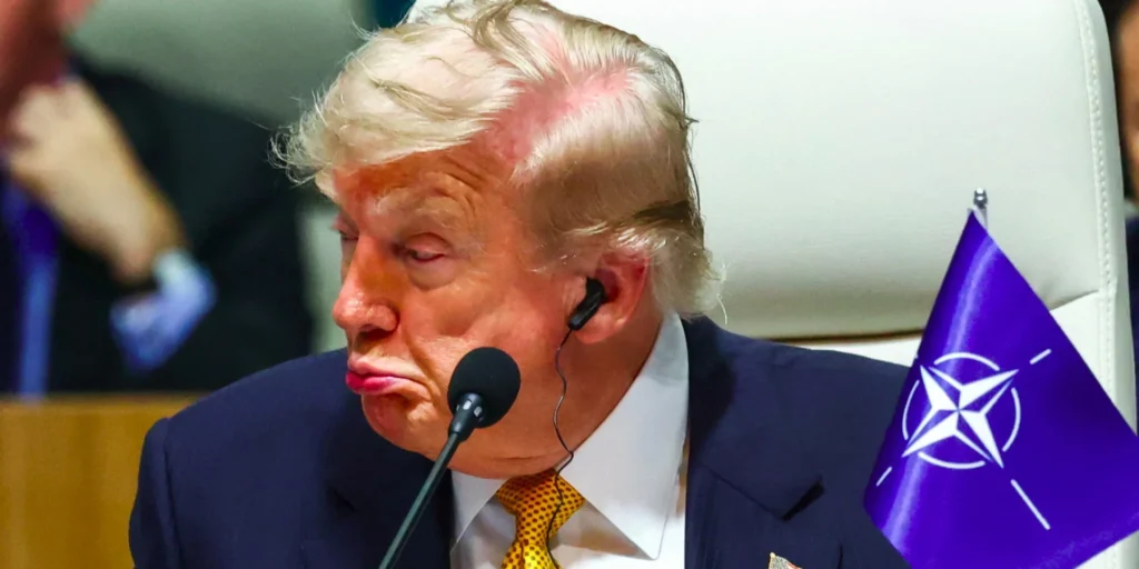 Дональд Трамп на саміті НАТО з прапором альянсу поруч