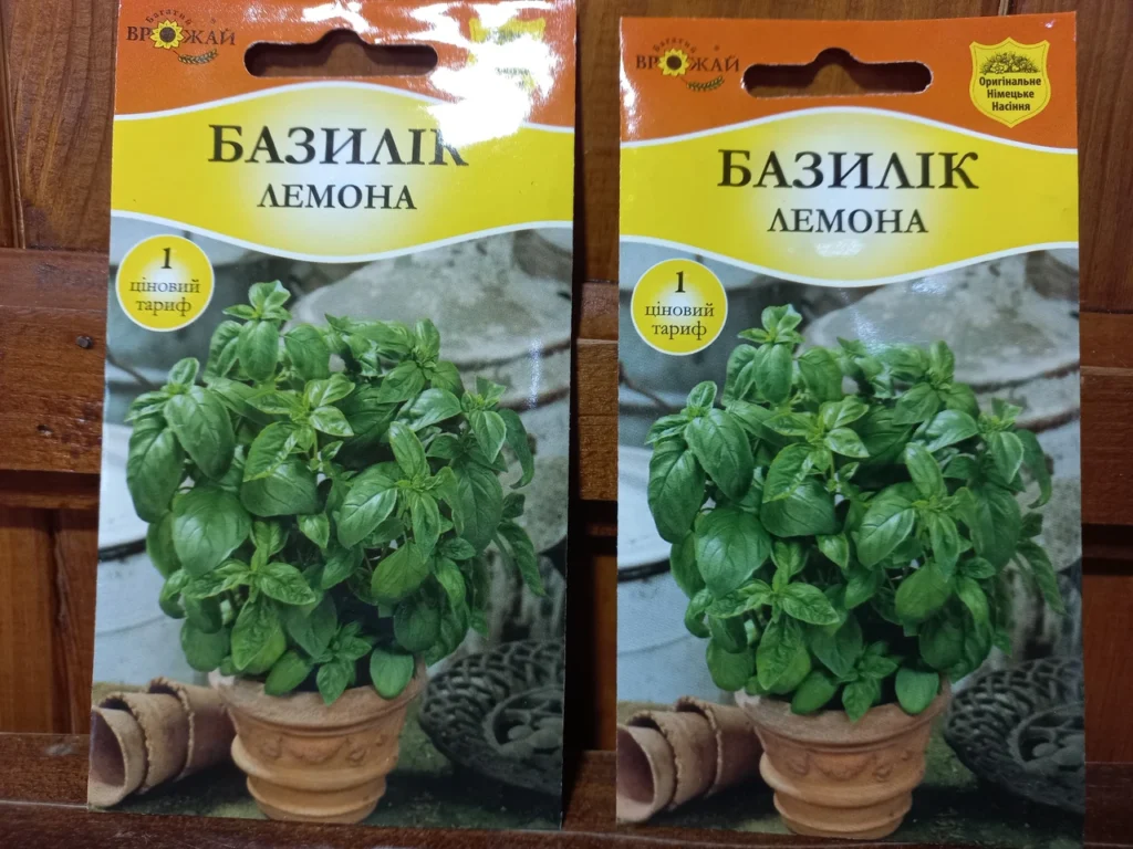 bazylik-vyroshchuvannia-povnyi-haid-vid-nasinnia-do-vrozhaiu-c2eb