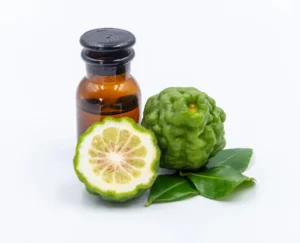 berhamot-tse-tsytrusovyi-hibryd-z-nepovtornym-aromatom-a248