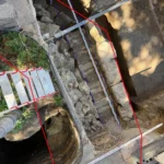 Чи можна вагітним часник: повний гід з користю, ризиками та порадами